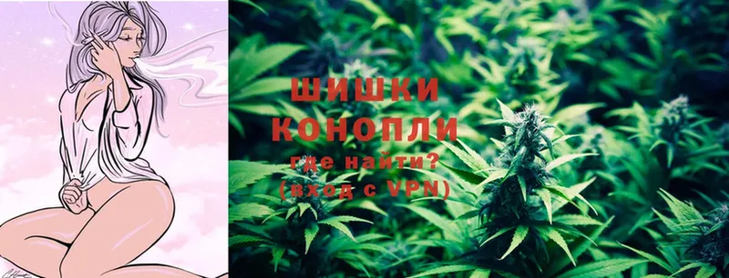 Каннабис OG Kush  Обнинск 